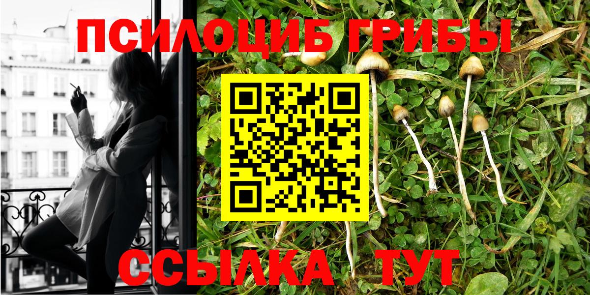 Амурск  как найти наркотики  Вход с VPN  Галлюциногенные грибы MAGIC MUSHROOMS 